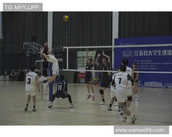 排球专题：聚焦南京排球队的心理素质_1